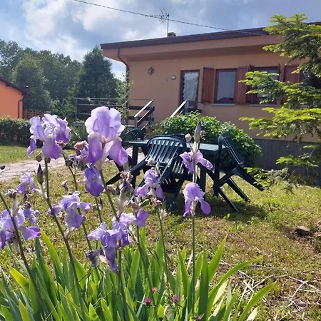 Grazia * Valgiano